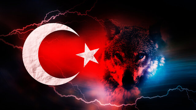 T&uuml;rk Bayrakları