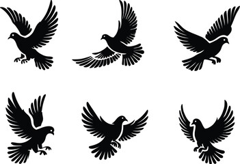 A collection of doves for artwork compositions