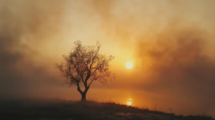 Fototapeta premium Solitary tree silhouette amidst sunset smoke, evoking a sense of serene solitude