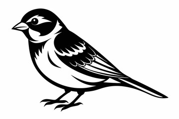 Obraz premium sparrow line art silhouette vector illustration
