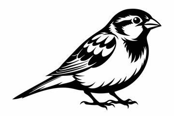 sparrow line art silhouette vector illustration