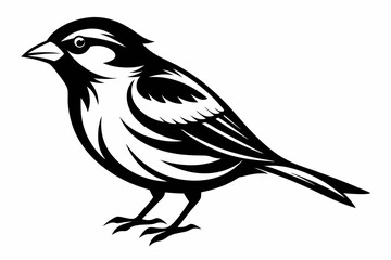Fototapeta premium sparrow line art silhouette vector illustration