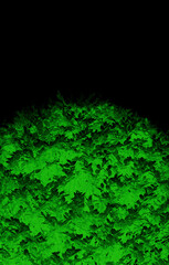 Bright Green Leaves Pattern In Silhouette On Dark Background With Empty Space Over It Vertical Image
