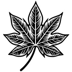 Papaya leaf silhouette