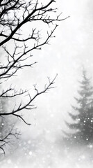 Fototapeta premium Snowflakes falling on bare tree branches and a pine tree in a winter forest create a serene and peaceful atmosphere