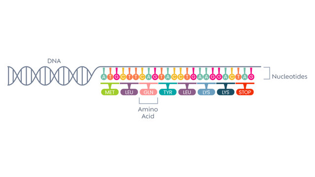DNA sequence. Vector illustration. Can be used for topics like biology, chemistry, medicine