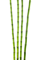 Naklejka premium Decorative green bamboo stems isolated on white
