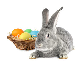 Cute fluffy rabbit and colorful Easter eggs isolated on white