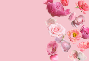 Beautiful fresh flowers falling on pink background, space for text