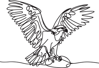 Osprey Line Drawing Vector – Minimalist Bird Illustration