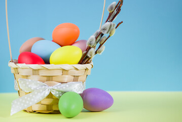 Easter colored eggs in basket on blue background with willow