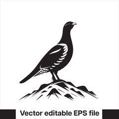 vector Western Capercaillie Game Bird
