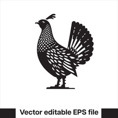 vector Western Capercaillie Game Bird