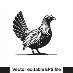 vector Western Capercaillie Game Bird