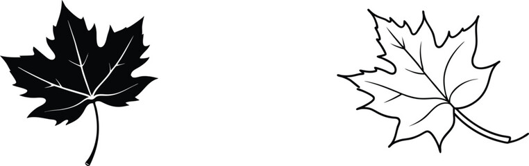 Two Maple Leaf Illustrations Black, White, Simple Drawings