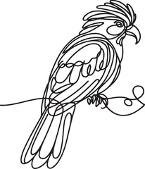 Beautiful Quetzal Bird in Line Drawing
