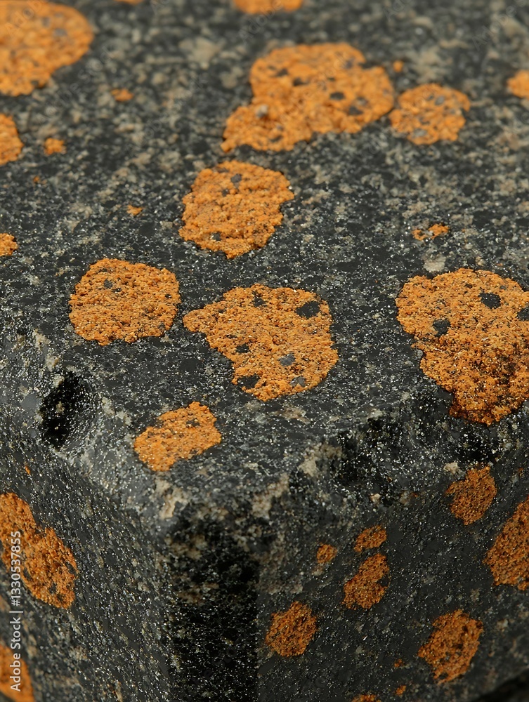 Poster detailed close-up of a black stone with distinctive rust-colored speckled patterns