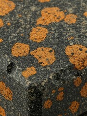 Detailed close-up of a black stone with distinctive rust-colored speckled patterns