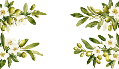 Watercolor olive branch frame with green leaves and white flowers for elegant botanical and Mediterranean themed designs