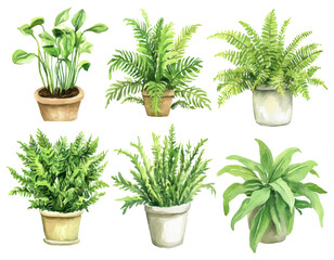 Watercolor illustration of potted green houseplants and ferns for botanical and home decor inspired designs
