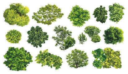 Collection of lush green tree top views with dense foliage for landscape design and architectural visualization
