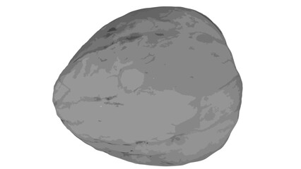 Gray walnut illustration