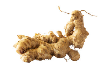 ginger root isolated on white background