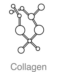 Collagen. Dermatology icon.Graphics isolated on transparent background. Vector illustration. 