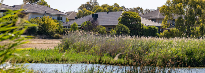 Skeleton Creek in Point Cook, with reeds and grasses growing along the water's edge, modern...