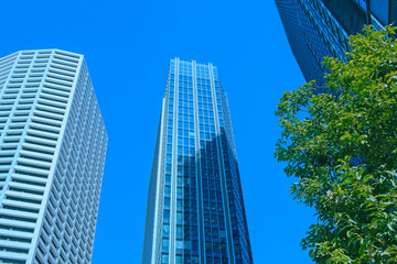 高層ビル　緑の木