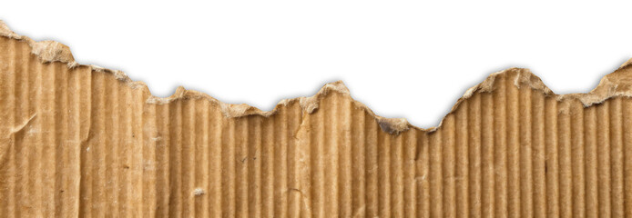 Torn Brown Cardboard Paper Edge Isolated on White