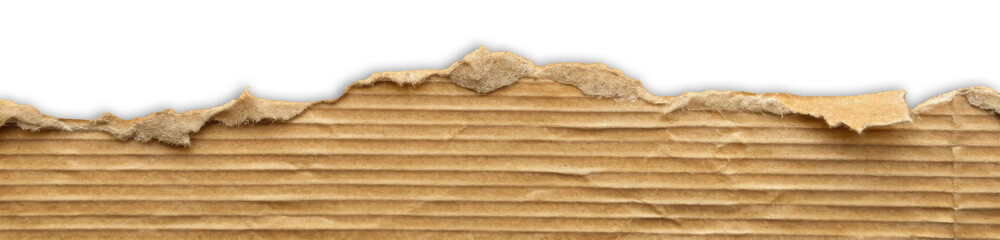 Torn Brown Cardboard Paper Edge Isolated on White