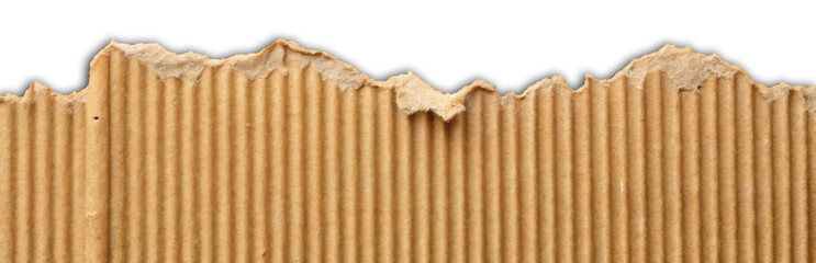 Torn Brown Cardboard Paper Edge Isolated on White