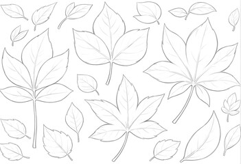 Fototapeta premium Black and white sketch of various leaf outlines with different shapes and sizes. Hand-drawn style illustration, perfect for coloring books, design elements, and botanical concepts.