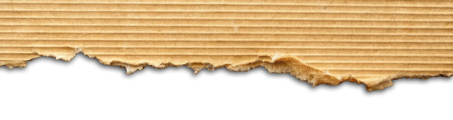 Torn Brown Cardboard Paper Edge Isolated on White