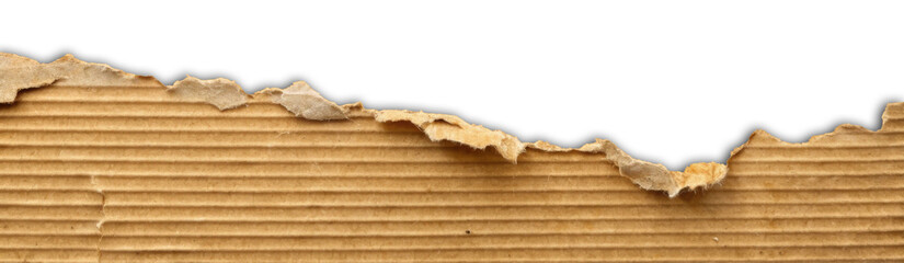 Torn Brown Cardboard Paper Edge Isolated on White