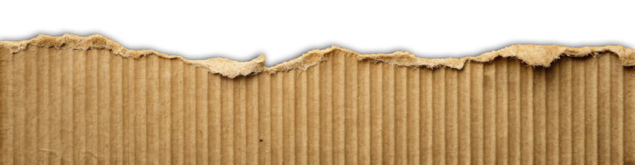 Torn Brown Cardboard Paper Edge Isolated on White