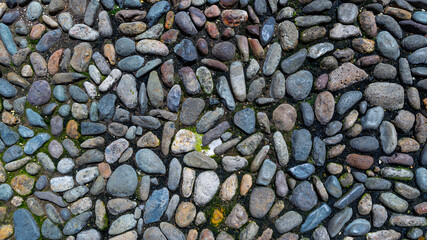 Close-up of a cobblestone pavement with irregularly shaped stones, showcasing natural textures and...
