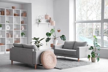 Interior of light living room with grey sofas, shelf unit and plants