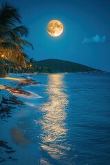 Full moon illuminates calm beach at night with gentle waves and palm trees swaying under soft lighting