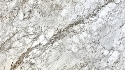 Obraz premium White Marble Texture Showing Gray Veining Detail