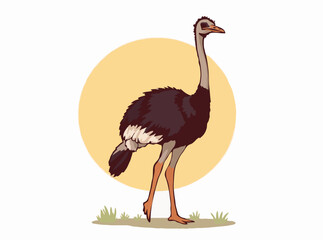 Ostrich