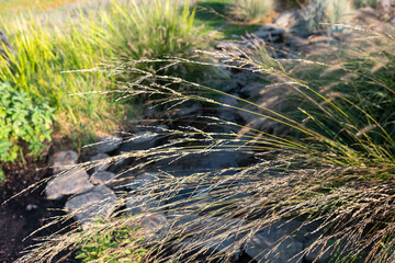 Flowing grasses near a serene stream in a peaceful garden setting during daylight hours