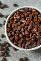 Organic Raw Mini Chocolate Chips