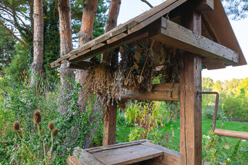 Fototapete bei efototapeten.de bestellen   