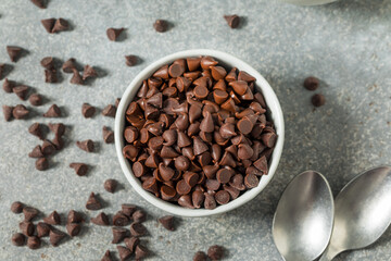 Organic Raw Mini Chocolate Chips