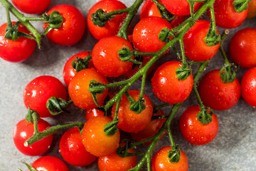 Organic Raw Red Cherry Tomatoes