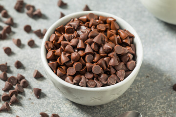 Organic Raw Mini Chocolate Chips