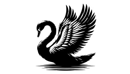 elegant swan with raised wings and water reflection in graceful black vector shape © Camel