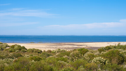 A tranquil coastal scene showcases golden sandy shores meeting calm blue waters under a clear sky. Lush greenery adds vibrancy to the serene atmosphere of this natural landscape